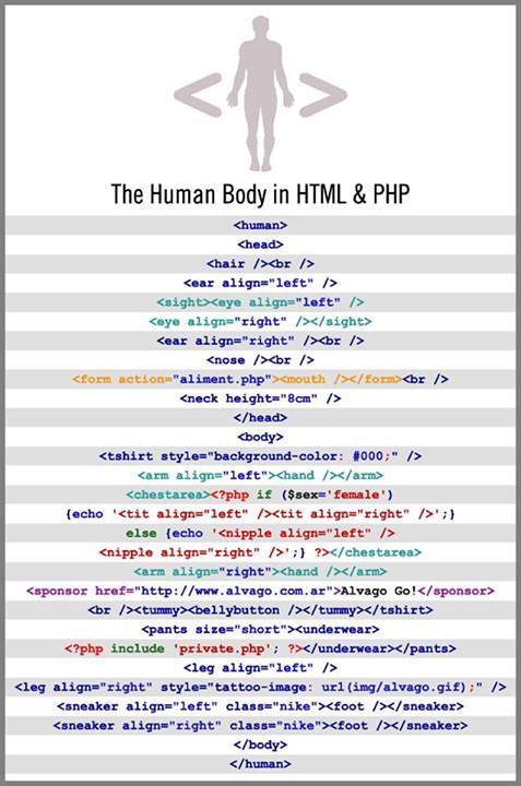 Human html.jpg